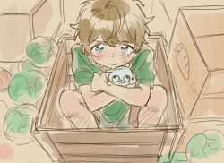Rule 34 | 10s, 1boy, blue eyes, brown hair, cabbage, child, ensemble stars!, food, jolaeng-i, male focus, hugging object, short hair, shorts, sitting, solo, stuffed toy, takamine midori, tears, vegetable, wooden box, aged down