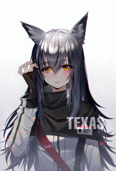 Rule 34 | 1girl, animal ear fluff, animal ears, arknights, baocaizi, black capelet, black gloves, black hair, brown eyes, capelet, character name, ear piercing, fingerless gloves, fingernails, gloves, gradient background, gradient hair, grey background, hair between eyes, hand up, highres, jacket, long hair, looking at viewer, multicolored hair, parted lips, piercing, silver hair, solo, texas (arknights), very long hair, white background, white jacket