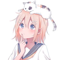 Rule 34 | 1girl, animal, animal on head, blonde hair, blue eyes, calico, cat, cat on head, finger to mouth, hair between eyes, hair ornament, hairpin, kagamine rin, light frown, mimengfeixue, neckerchief, on head, school uniform, serafuku, short hair, simple background, solo, upper body, vocaloid, white background
