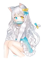 Rule 34 | 1girl, animal ear fluff, animal ears, between legs, blouse, blue eyes, blue skirt, cat ears, cat girl, cat tail, commentary request, cropped legs, fish, frilled skirt, frills, hair ribbon, hand between legs, heterochromia, juliet sleeves, knees together feet apart, legs together, long hair, long sleeves, looking at viewer, mouth hold, neck bell, original, puffy sleeves, ribbon, sakizaki saki-p, shirt, silver hair, simple background, sitting, skirt, solo, tail, tail ornament, tail ribbon, twitter username, very long hair, white background, white shirt, yellow eyes