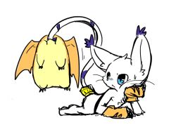 Rule 34 | animal ears, cat, cat ears, digimon, digimon (creature), gloves, holy ring, patamon, tail, tailmon