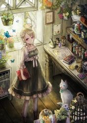 Rule 34 | 1girl, animal, bad id, bad twitter id, birdcage, black dress, blonde hair, book, bottle, bug, butterfly, cage, cat, day, desk, drawing (object), dress, emon (glossy black), flower, flower pot, frilled dress, frills, green ribbon, hair flower, hair ornament, heterochromia, indoors, insect, open window, original, pantyhose, paper, picture frame, plant, potted plant, purple eyes, red ribbon, ribbon, rose, solo, standing, sunlight, test tube, white cat, white flower, white pantyhose, white ribbon, white rose, window, wooden floor