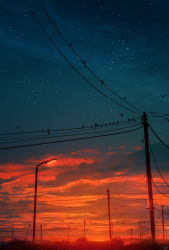 Rule 34 | absurdres, animal, artist name, bird, cloud, commentary request, highres, lamppost, no humans, original, scenery, sky, skyrick9413, star (sky), starry sky, sunset, tree, utility pole