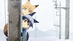 Rule 34 | 10s, 2girls, :&lt;, animal ears, black gloves, blonde hair, blue hair, blue jacket, blurry, blurry background, brown eyes, brown hair, chestnut mouth, closed mouth, commentary, day, depth of field, ezo red fox (kemono friends), fox ears, fox tail, gloves, gradient hair, head tilt, highres, jacket, kemono friends, leaning to the side, long hair, looking at viewer, multicolored hair, multiple girls, outdoors, parted lips, peeking out, silver fox (kemono friends), silver hair, snow, snowing, tail, tomato (lsj44867), utility pole