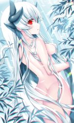 Rule 34 | 1girl, bathing, breasts, dragon girl, dragon horns, fate/grand order, fate (series), from behind, grey hair, highres, horns, kiyohime (fate), kiyohime (third ascension) (fate), morizono shiki, multiple horns, nude, red eyes, snake, solo, thighhighs, wet
