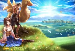 Rule 34 | 1boy, 1girl, bird, black footwear, black gloves, black shorts, blonde hair, blue eyes, blue hakama, blue sky, boots, bracelet, brown hair, chocobo, closed mouth, cloud, day, field, final fantasy, final fantasy x, flower, gloves, grass, green eyes, hakama, hakama skirt, hand on own head, heterochromia, japanese clothes, jewelry, knee boots, messy hair, necklace, obi, outdoors, ring, sasanomesi, sash, shoes, short hair, shorts, sitting, skirt, sky, smile, square enix, standing, sun, sunlight, tidus, yuna