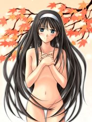 Rule 34 | 00s, 1girl, black hair, blue eyes, blush, branch, completely nude, hairband, hands on own chest, leaf, long hair, navel, nude, solo, thigh gap, tohno akiha, tsukihime, very long hair, white hairband