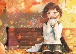 Rule 34 | 1girl, autumn leaves, bench, black sailor collar, black skirt, black thighhighs, blush, briefcase, brown eyes, brown hair, commentary request, floating hair, food, green neckerchief, hair ornament, hairclip, hands up, highres, holding, holding food, leaf, long hair, long sleeves, looking at viewer, maple leaf, neckerchief, on bench, one side up, original, park bench, pleated skirt, roasted sweet potato, sailor collar, school briefcase, school uniform, serafuku, shirt, sitting, skirt, sleeves past wrists, solo, sweater, sweet potato, takuki takuki, thighhighs, white shirt, white sweater