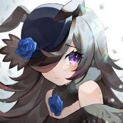 Rule 34 | 1girl, animal ears, bare shoulders, black hair, blue hat, blush, chinese commentary, close-up, commentary, commentary request, crying, dress, english commentary, flower, fur collar, hair over one eye, hat, hat flower, horse ears, horse girl, long hair, looking at viewer, mixed-language commentary, off-shoulder dress, off shoulder, purple eyes, qi&#039;e (penguin), rice shower (umamusume), solo, tilted headwear, umamusume, upper body