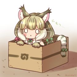 Rule 34 | 1girl, animal costume, animal ear fluff, animal ears, bare shoulders, box, cardboard box, cat ears, cat girl, cat tail, coroha, gloves, grey hair, jungle cat (kemono friends), kemono friends, kemono friends v project, long hair, looking at viewer, microphone, multicolored hair, ribbon, scarf, simple background, solo, tail, twintails, virtual youtuber