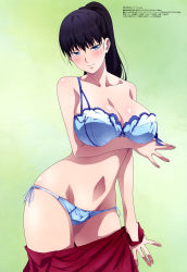 Rule 34 | 1girl, absurdres, arm under breasts, black hair, blue bra, blue eyes, blue panties, bra, breasts, cleavage, closed mouth, collarbone, green background, hanzawa jun, highres, large breasts, long hair, looking at viewer, megami magazine, navel, official art, panties, ponytail, red skirt, scan, shuumatsu no harem, simple background, skirt, smile, stomach, string panties, toudou akira (shuumatsu no harem), underwear, undressing