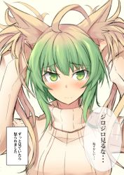 Rule 34 | 1girl, ahoge, animal ears, atalanta (fate), breasts, cat ears, commentary request, fate/apocrypha, fate (series), gradient hair, green eyes, green hair, hair between eyes, long hair, medium breasts, multicolored hair, nahu, ribbed sweater, sketch, solo, sweater, translation request, turtleneck, turtleneck sweater, twintails, two-tone hair, upper body