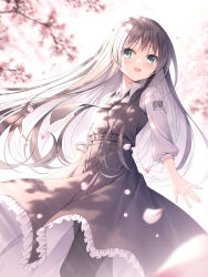 Rule 34 | 1girl, :d, black dress, black necktie, black pantyhose, blurry, blurry background, blush, branch, brown hair, character request, collared shirt, commentary request, depth of field, dress, flower, frilled dress, frills, green eyes, highres, kine-c, long sleeves, looking at viewer, necktie, open mouth, pantyhose, petals, pinafore dress, pink flower, puffy long sleeves, puffy sleeves, sakura no toki, shirt, sleeveless, sleeveless dress, smile, solo, white shirt