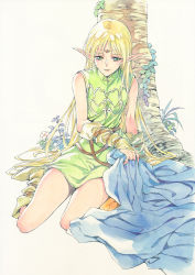 Rule 34 | 1girl, absurdly long hair, agahari, against tree, bare legs, blonde hair, bridal gauntlets, circlet, closed mouth, deedlit, detached sleeves, dress, elf, green dress, green eyes, hair between eyes, highres, long hair, pointy ears, record of lodoss war, short dress, simple background, sitting, sleeveless, sleeveless dress, solo, straight hair, tree, very long hair, white background, yellow footwear, yellow sleeves