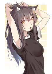 Rule 34 | 1girl, animal ear fluff, animal ears, arknights, arms up, black hair, black shirt, breasts, commentary request, hair between eyes, hair tie in mouth, highres, long hair, looking at viewer, medium breasts, mouth hold, shirt, short sleeves, skying, solo, texas (arknights), upper body, wolf ears, yellow eyes
