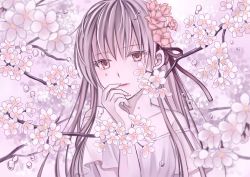 Rule 34 | 1girl, arm up, bare shoulders, branch, cherry blossoms, collarbone, commentary request, crying, crying with eyes open, dress, fingernails, flower, hair between eyes, hair flower, hair ornament, hair ribbon, hand on own face, head tilt, kisshou mizuki, long hair, looking at viewer, original, parted lips, purple background, purple eyes, purple hair, ribbon, short sleeves, solo, standing, strapless, strapless dress, tears, upper body, very long hair, water drop, white background