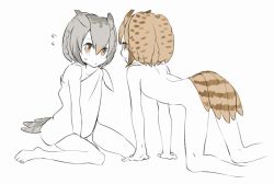 Rule 34 | 10s, 2girls, all fours, bad id, bad pixiv id, bird tail, brown eyes, brown hair, eurasian eagle owl (kemono friends), eye contact, flat chest, grey hair, hair between eyes, head wings, highres, kemono friends, looking at another, multicolored hair, multiple girls, northern white-faced owl (kemono friends), nude, omucchan (omutyuan), short hair, spot color, tail, white hair, wings, yellow eyes
