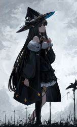 Rule 34 | 1girl, absurdres, amamizu shizuku, animal, bare shoulders, bird, black dress, black hair, black hat, black jacket, black pantyhose, breasts, closed mouth, cloud, cloudy sky, commentary request, copyright request, dress, from side, fur-trimmed jacket, fur trim, hand up, hat, highres, holding, jacket, long hair, long sleeves, medium breasts, off-shoulder jacket, off shoulder, outdoors, pantyhose, power lines, puffy long sleeves, puffy sleeves, red eyes, revision, single leg pantyhose, sky, sleeveless, sleeveless dress, smile, solo, standing, utility pole, very long hair, virtual youtuber, witch hat