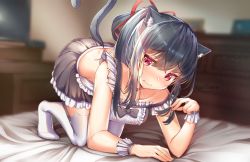 Rule 34 | 1girl, all fours, animal ears, apron, artist name, bare shoulders, bikini, black hair, black skirt, blurry, blurry background, blush, breasts, cat ears, cat tail, collarbone, commentary, copyright request, full body, hair ribbon, kaptivate, long hair, maid, maid apron, maid bikini, medium breasts, miniskirt, red ribbon, ribbon, skirt, swimsuit, tail, thighhighs, unconventional maid, underwear, white apron, white thighhighs