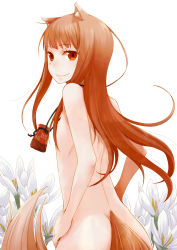 Rule 34 | 00s, 1girl, absurdres, animal ears, ass, ayakura juu, back, blush, brown hair, completely nude, female focus, flat chest, flower, hands on own hips, highres, holo, long hair, looking at viewer, looking back, nude, pouch, red eyes, smile, solo, spice and wolf, tail, wolf ears, wolf tail