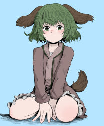 Rule 34 | 1girl, animal ears, blue background, closed mouth, dog ears, dog tail, dress, fe (tetsu), frilled dress, frills, full body, green eyes, green hair, highres, kasodani kyouko, long sleeves, looking at viewer, short hair, simple background, sitting, solo, tail, touhou, v arms, wolf tail