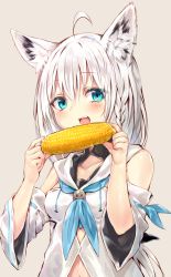 Rule 34 | 1girl, animal ears, bare shoulders, blue eyes, blue neckerchief, blush, braid, breasts, brown background, collarbone, corn, corn cob, detached sleeves, food, fox ears, fox girl, hair between eyes, highres, holding, holding food, hololive, hololive gamers, long hair, long sleeves, looking at viewer, navel, neckerchief, open mouth, shirakami fubuki, shirakami fubuki (1st costume), shirt, side braid, simple background, single braid, sleeveless, sleeveless shirt, small breasts, solo, sukemyon, virtual youtuber, white hair, white shirt, wide sleeves