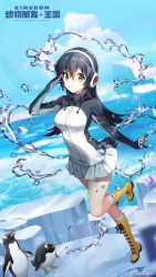 Rule 34 | 1girl, animal costume, bird, black hair, closed mouth, gentoo penguin (kemono friends), gloves, headphones, highres, kemono friends, kemono friends kingdom, long hair, looking at viewer, multicolored hair, nature, official art, penguin, penguin costume, penguin tail, shirt, skirt, smile, solo, straight hair, tail