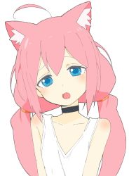 Rule 34 | 1girl, absurdres, ahoge, animal ear fluff, animal ears, bad id, bad twitter id, black choker, blue eyes, blush, cat ears, choker, collarbone, donguri suzume, fangs, highres, hinata channel, long hair, looking at viewer, loose clothes, loose shirt, low twintails, nekomiya hinata, open mouth, pink hair, shirt, sleeveless, solo, twintails, virtual youtuber, white shirt