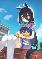 Rule 34 | absurdres, animal, animal ears, animal on lap, black hair, blush, bow, bowtie, brick wall, cat, cat on lap, commentary, earrings, hair between eyes, highres, horse ears, horse girl, horse tail, jewelry, long hair, manhattan cafe (umamusume), on lap, pleated skirt, puffy short sleeves, puffy sleeves, purple bow, purple bowtie, purple shirt, purple skirt, rottenpizza, sailor collar, school uniform, shirt, short sleeves, sidelocks, single earring, sitting, skirt, symbol-only commentary, tail, thighhighs, tracen school uniform, umamusume, white thighhighs, yellow eyes, zettai ryouiki