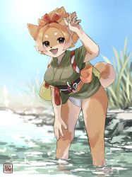Rule 34 | 1girl, animal ears, body fur, brown fur, day, dog ears, dog girl, dog tail, female focus, fundoshi, furry, furry female, grey eyes, hand on own knee, highres, japanese clothes, kawarage yatano, leaning forward, light brown hair, obi, open mouth, original, outdoors, pawpads, river, sash, sky, solo, standing, tail, teeth, wading, water, wet