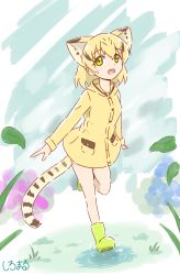Rule 34 | 10s, 1girl, :d, alternate costume, animal ears, bad id, bad pixiv id, blonde hair, boots, cat ears, cat tail, commentary request, extra ears, full body, green eyes, highres, kemono friends, leaf, looking at viewer, medium hair, open mouth, puddle, raincoat, rubber boots, sand cat (kemono friends), shiraha maru, smile, solo, striped tail, tail, walking