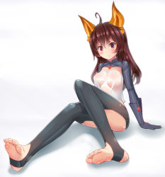 Rule 34 | 1girl, ahoge, alcohol (coldfront), animal ears, bad id, bad pixiv id, barefoot, brown hair, cat ears, coldfront, elin, feet, foreshortening, full body, gloves, heart, highres, long hair, purple eyes, see-through, shrug (clothing), soles, solo, tera online, toeless legwear, toes, transparent, white background