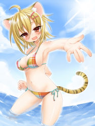 Rule 34 | 1girl, :d, ahoge, animal ears, bikini, blonde hair, blush, breasts, brown eyes, fang, foreshortening, hair ornament, hairpin, highres, inuue kiyu, large breasts, looking at viewer, navel, open mouth, original, outstretched arm, outstretched hand, short hair, side-tie bikini bottom, smile, solo, sparkle, strap gap, sunlight, swimsuit, tail, tiger ears, tiger tail, wading, water