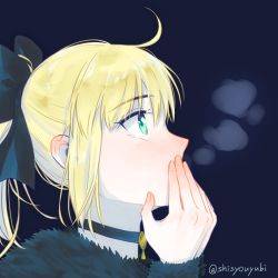 Rule 34 | 1girl, ahoge, artoria pendragon (all), artoria pendragon (fate), black bow, blonde hair, blue background, bow, choker, covering own mouth, fate/unlimited codes, fate (series), from side, green eyes, hair bow, hand over own mouth, long sleeves, portrait, profile, saber lily, shayubi, short hair, simple background, solo, twitter username
