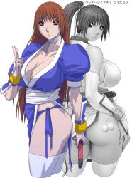 Rule 34 | 2girls, breasts, dead or alive, dual persona, fingernails, huge breasts, kasumi (doa), koutarou, koutarou (girl power), long fingernails, long hair, mature female, multiple girls, nail, nail polish, no bra, no panties, aged up, orange eyes, pelvic curtain, pink nails, red hair, sword, tecmo, thighhighs, weapon