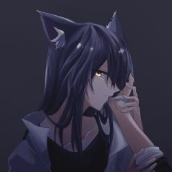 Rule 34 | 1girl, animal ear fluff, animal ears, arknights, biting, black shirt, chinese commentary, commentary request, ear piercing, eyes visible through hair, hibioes, highres, jacket, long hair, open clothes, open jacket, piercing, shirt, texas (arknights), white jacket, wolf ears, yellow eyes