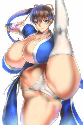 Rule 34 | 1girl, absurdres, ass, breasts, cameltoe, cleavage, curvy, dead or alive, flexible, hair ribbon, highleg, highleg panties, highres, huge ass, huge breasts, judge (oekaki), kasumi (doa), leg up, long hair, looking at viewer, ninja, panties, partially visible vulva, pelvic curtain, ponytail, ribbon, short sleeves, solo, standing, standing on one leg, thong, underwear, wide hips