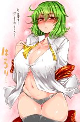 Rule 34 | 1girl, arm behind back, ascot, ascot removed, belly, black panties, black thighhighs, blush, breasts, cleavage, collarbone, collared shirt, covered erect nipples, curvy, female focus, green hair, heavy breathing, highres, kazami yuuka, large breasts, long sleeves, looking at viewer, navel, panties, parted lips, pink background, plaid, plaid skirt, plaid vest, red eyes, revision, roki (hirokix), shiny skin, shirt, skirt, unworn skirt, solo, sweat, thick thighs, thigh gap, thighhighs, thighs, touhou, translation request, underboob, underwear, vest, unworn vest, wavy hair, white shirt