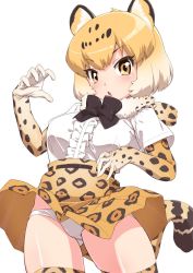 Rule 34 | 1girl, :o, animal ears, black bow, black bowtie, blonde hair, bow, bowtie, breasts, center frills, chestnut mouth, frills, hand up, jaguar (kemono friends), kemono friends, looking at viewer, medium breasts, orange skirt, panties, senzoc, serval print, serval tail, shirt, short hair, short sleeves, simple background, skirt, solo, tail, thighhighs, underwear, white background, white panties, white shirt, yellow eyes