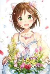 Rule 34 | 10s, 1girl, :o, ahoge, animal ears, bare shoulders, blurry, blush, breasts, brown hair, cat ears, cleavage, collarbone, depth of field, dress, fang, flower, flower necklace, green eyes, hair flower, hair ornament, highres, idolmaster, idolmaster cinderella girls, jewelry, looking at viewer, maekawa miku, medium breasts, necklace, open mouth, pink flower, red flower, red rose, rose, short hair, simple background, skirt basket, smile, solo, sundress, takeashiro, tareme, tulip, water drop, white background, white dress