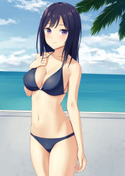 Rule 34 | 1girl, bare arms, bare shoulders, bikini, black hair, blue bikini, breasts, cleavage, closed mouth, collarbone, commentary request, day, halterneck, hand up, horizon, long hair, looking at viewer, medium breasts, n.g., navel, ocean, original, outdoors, palm tree, purple eyes, smile, solo, standing, swimsuit, tree, water