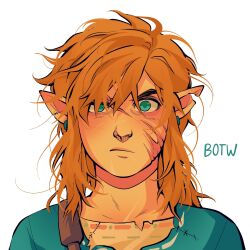 Rule 34 | 1boy, angry, artsy-moonwalker, blonde hair, commentary, english commentary, highres, link, looking at viewer, male focus, messy hair, nintendo, notched ear, pointy ears, portrait, scar, scar on face, solo, the legend of zelda, the legend of zelda: breath of the wild, torn clothes, white background
