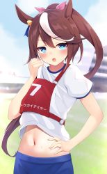 Rule 34 | 1girl, absurdres, alternate costume, animal ears, belly, blue eyes, blurry, blurry background, blush, commentary request, gym uniform, hair between eyes, hair ornament, highres, horse ears, horse girl, navel, open mouth, ponytail, solo, tokai teio (umamusume), umamusume, zeatto