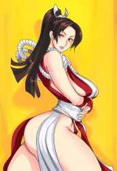 Rule 34 | 1girl, ass, black hair, breast hold, breasts, huge ass, iad, large breasts, loincloth, panties, pink eyes, ponytail, red panties, rope, shadow, shiranui mai, solo, the king of fighters, underwear