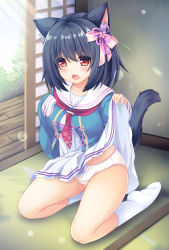 Rule 34 | 1girl, animal ear fluff, animal ears, black hair, blue shirt, blush, bow, cat ears, cat girl, cat tail, clothes lift, commentary request, dress, dress lift, full body, hair between eyes, hair bow, hand up, highres, indoors, lifting own clothes, long hair, long sleeves, looking at viewer, nekotsuku sakura, no shoes, on floor, open mouth, pink bow, pink neckwear, pleated dress, red eyes, sailor collar, sakuraba hikaru (loveindog), shirt, sleeves past fingers, sleeves past wrists, socks, solo, sunlight, tail, tail raised, tatami, tsuki (nekotsuku sakura), white dress, white sailor collar, white socks