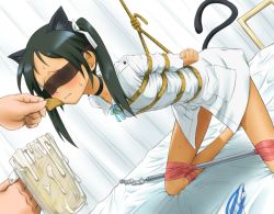 Rule 34 | 1girl, animal ears, arms behind back, back, bad id, bad pixiv id, bdsm, bed, blindfold, blush, bondage, bottomless, bound, box tie, cat ears, cat tail, choker, cum, cum in container, cum in cup, cup, dress shirt, fake animal ears, francesca lucchini, gokkun, holding, holding cup, mug, no panties, panties, shibari, shirt, solo, solo focus, spreader bar, strike witches, striped clothes, striped panties, sweatdrop, tail, tape, underwear, unworn panties, world witches series, yamija
