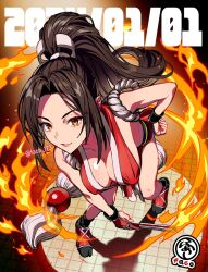 Rule 34 | 1girl, arm guards, bare shoulders, breasts, brown eyes, brown hair, cleavage, faco, fatal fury, folded fan, folding fan, hand fan, high ponytail, highres, holding, holding fan, japanese clothes, large breasts, long hair, looking at viewer, ninja, pelvic curtain, ponytail, revealing clothes, rope, shiranui mai, sideboob, simple background, smile, snk, solo, the king of fighters, thighs