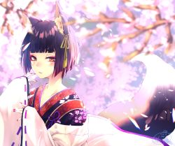 Rule 34 | 1girl, animal ear fluff, animal ears, black hair, blunt bangs, blurry, blurry background, blush, bob cut, cherry blossoms, chita (ketchup), eyelashes, fingernails, fox ears, fox girl, fox tail, hair ribbon, highres, japanese clothes, kimono, long sleeves, looking at viewer, multicolored eyes, nail polish, original, parted lips, red nails, ribbon, ribbon-trimmed sleeves, ribbon trim, short hair, signature, sleeves past wrists, solo, tail, thick eyebrows, twitter username, upper body, wide sleeves
