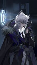 Rule 34 | 1boy, animal ear fluff, animal ears, arknights, black coat, black gloves, black necktie, body markings, chain, chinese commentary, coat, collared shirt, cowboy shot, dark, fur-trimmed coat, fur trim, glove pull, gloves, green eyes, grey hair, hair between eyes, hand up, highres, indoors, leopard boy, leopard ears, light particles, long hair, long sleeves, looking at viewer, mouth pull, nayannayan, necktie, shirt, silverash (arknights), solo, standing, white shirt, zipper