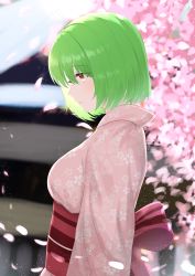 Rule 34 | 1girl, absurdres, alternate costume, anima miko, blurry, blurry background, breasts, cherry blossoms, closed mouth, floral print, from side, green hair, highres, japanese clothes, kazami yuuka, kimono, long sleeves, outdoors, pink kimono, red eyes, sash, short hair, solo, touhou, upper body